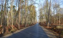 Wspólna inwestycja drogowa dla mieszkańców Drzewiec